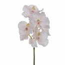 Set 3 Orchidea Artificiali Vanda Altezza 62 cm 