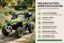 Mini Quad Elettrico per Bambini 6V Kid Go Deluxe Verde