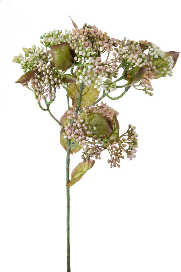 online Set mit 6 künstlichen Sodiums mit Blättern, Höhe 60 cm, Beige