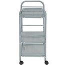 Carrello Portaoggetti Multiuso 3 Ripiani Bagno Cucina Parrucchiere Estetista 4 Ruote in Acciaio      