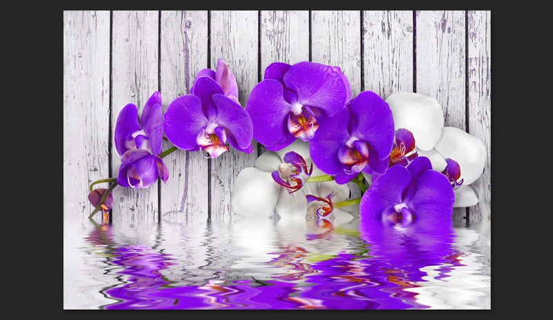 Fotomurale - Istinti Dormienti Carta Da Parato Erroi