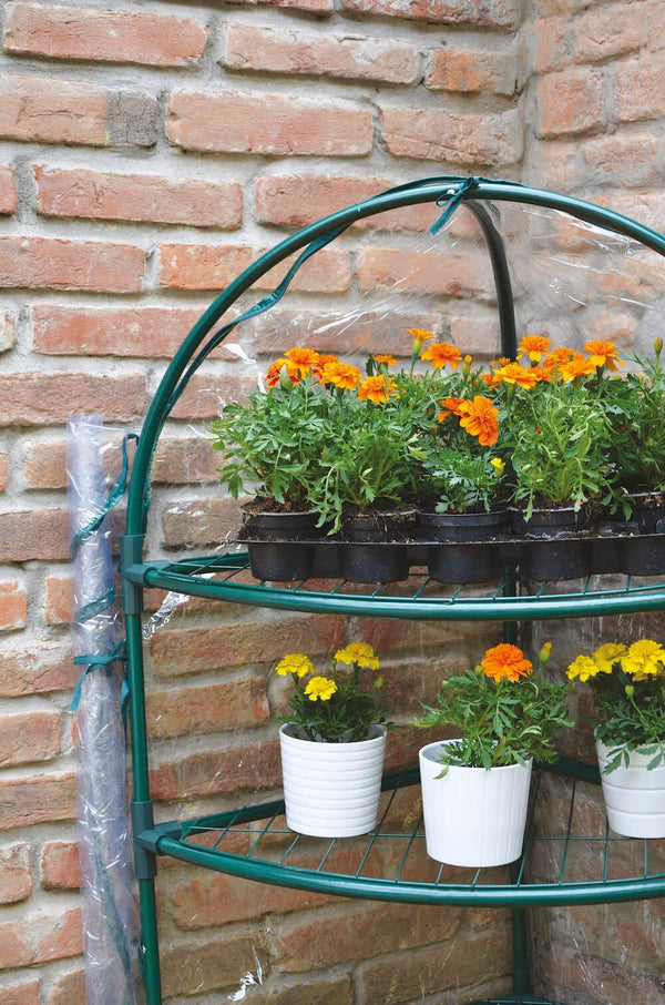 Eckiges Gartengewächshaus aus Metall und PVC Bertozzi acquista