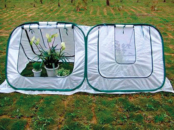 Bertozzi Speedy selbstaufrichtendes Gartengewächshaus mit 2 Türen aus Polyester online