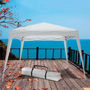 Gazebo da Giardino Pieghevole 2X2M in Metallo Bertozzi