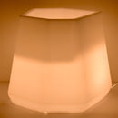 Vaso Luminoso da Giardino a LED 56x49x43 cm in Resina 5W Magnolia Bianco Caldo