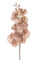Set 6 Phalenopsis Blumen Br/Gold H81 cm Beige