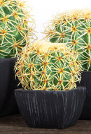 Set 2 Piante Artificiali Cactus con Vasi Ø 14 cm