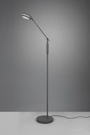 Piantana da Interno a LED SMD in Metallo Antracite