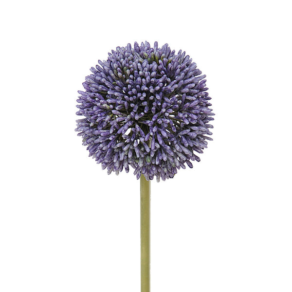 online Set 6 Fiori Artificiali di Allium H 66 cm