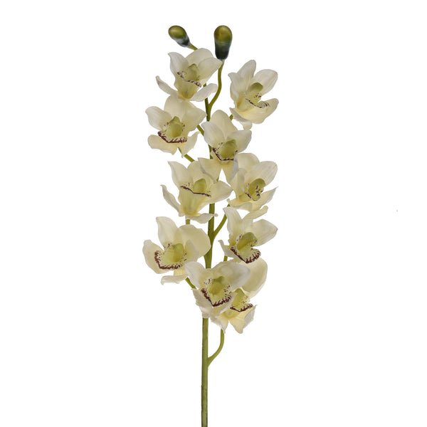 Set 2 Real Touch Künstliches Cymbidium mit 10 Blüten und 2 Knospen Höhe 92 cm Weiß acquista
