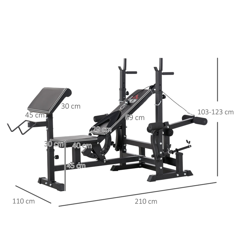 Panca da Palestra Regolabile con Supporto per Bilanciere 210x110x103-123 cm in Acciaio e PU Nero  
