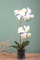 Pianta Artificiale di Phalaenopsis Artificiali con Vaso Altezza 48 cm Bianco