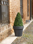 Vaso in Polietilene Tulli Vaso Standard One Essential Antracite Varie Misure