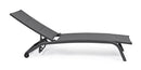 Lettino Prendisole da Giardino 61x192x96 cm con Ruote in Alluminio Antracite