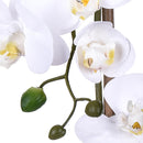Pianta Artificiale di Phalaenopsis Artificiali con Vaso Altezza 48 cm Bianco
