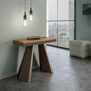 Consolle Allungabile 90-300x40x77 cm in Nobilitato Marrone