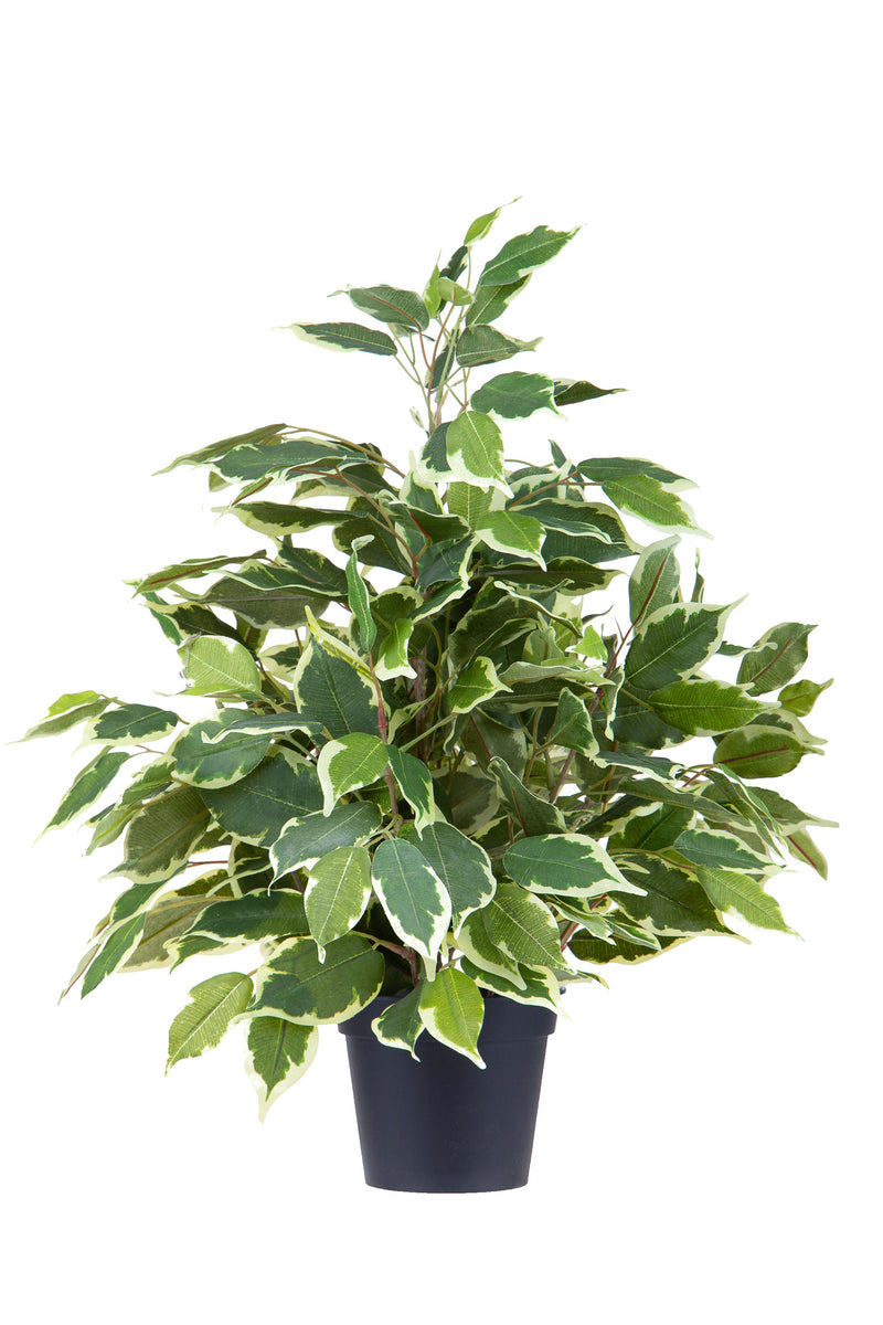 Ficus Artificiale con Vaso Altezza 55 cm Verde