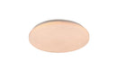 Plafoniera da Interno a LED in Plastica Bianco