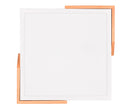 Plafoniera da Interno a LED in Plastica Bianco Opaco