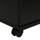 Armadietto 2 Ante 2 Cassetti 100x40x71 cm il Legno Truciolato  Nero