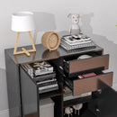 Credenza Moderna con 2 Armadietti e 2 Cassetti con Apertura a Pressione 79x36x74 cm  Nero Lucido