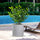 Vaso da Esterno Interno Design Cilindrico Ø36x35 cm Modigliani in Resina Beige