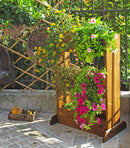 Ortofiore Diritto con Vaschette 71x43xh103 cm in Legno FSC Castagno