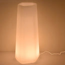 Vaso Luminoso da Giardino a LED 49x40x95 cm in Resina 5W Magnolia Bianco Caldo