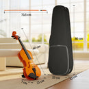 Violino 4/4 per Principianti e Adulti con Custodia Arco Spalliera e Pece Manico e Testa in Acero Marrone      