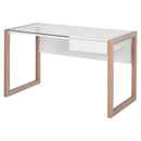 Scrivania da Ufficio 120x60x75 cm in Legno e Vetro 