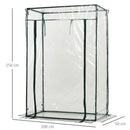 Serra da Giardino 100x50x150 cm in PVC Trasparente