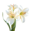 Set 12 Mini Lilium Artificiali con Fiori Altezza 56 cm 