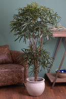 Aralia Artificiale a 2 Diramazioni con 954 Foglie Altezza 150 cm Verde