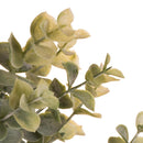 Set 4 Mini Eucaliptus Artificiali Altezza 41 cm Verde