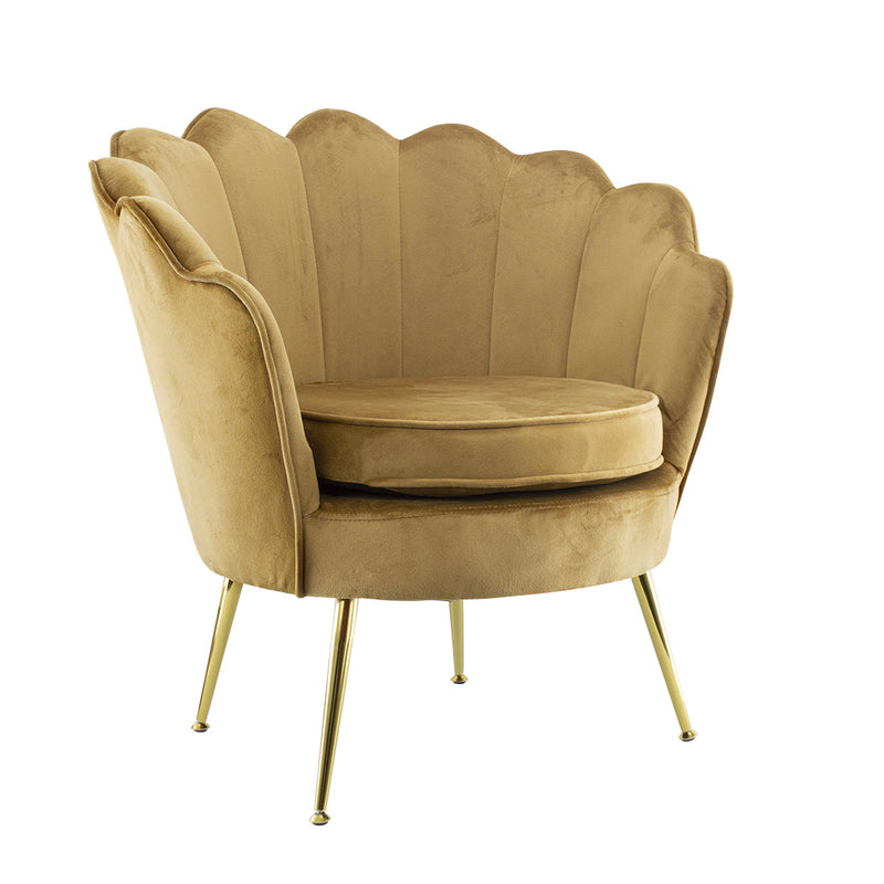 Poltrona Imbottita Schienale a Conchiglia in Velluto Piedi Oro Marrone