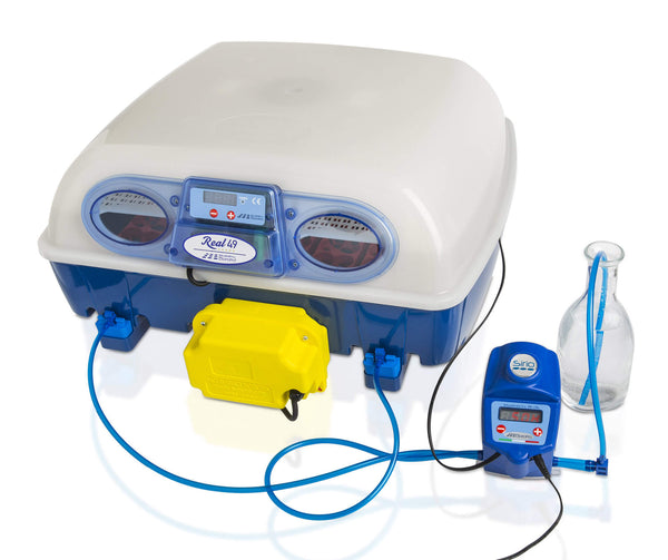 Borotto Real 49 Expert Eierinkubator und automatischer Luftbefeuchter acquista
