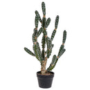 Pianta Artificiale Cactus Euphorbia con Vaso H 106 cm