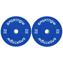 Set 2 Dischi Pesi da 20kg in Gomma con Foro da 2"/5 cm per Manubri e Bilancieri Blu    