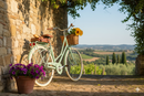 Bicicletta City da Donna 28" Design Vintage Cambio 6V Shimano Freni V-Brake Viaggio Verde Menta