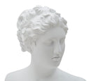 Scultura Roman Woman 21,5x14,5x34 cm in Poliresina Bianco