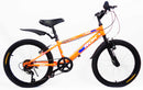 Bicicletta per Ragazzo 20" 6V con Borraccia e Scudetto Frontale Blu e Arancione