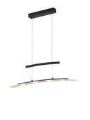 Lampada a Sospensione da Interno a LED in Metallo Nero Opaco
