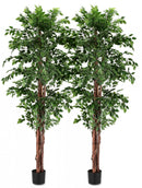 Set 2 Piante Artificiali con Vaso Ø 90x210 cm Ficus in Plastica