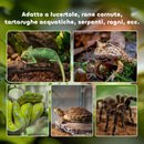 Terrario per Rettili 30x30x20 cm Rialzato con Serratura e Termometro in Vetro e Rete Metallica Nero  