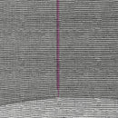 Rete di Protezione per Trampolini a 6 Pali con Ingresso con Cerniera Ø244x180 cm in PE Nero e Rosa