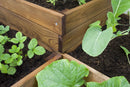Letto per Orto Fioriera Rialzato 90x90x46 cm in Legno