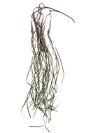 Set 2 Rami Artificiali di Bear Grass Cadente H 152 cm