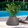 Vaso da Esterno Interno Design Conico Ø60x35 cm Stromboli in Resina Tortora