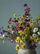 Set 6 Mazzetto di San Carlino Artificiali Composto da 18 Fiori Altezza 63 cm Multicolore