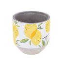 Set 3 Contenitori Decorativo Limoni Ø 14 H 14 cm